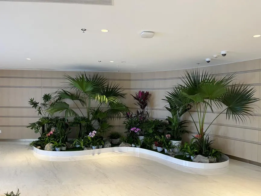 想租摆盆景？鄞州哪家能满足你对美的极致追求？