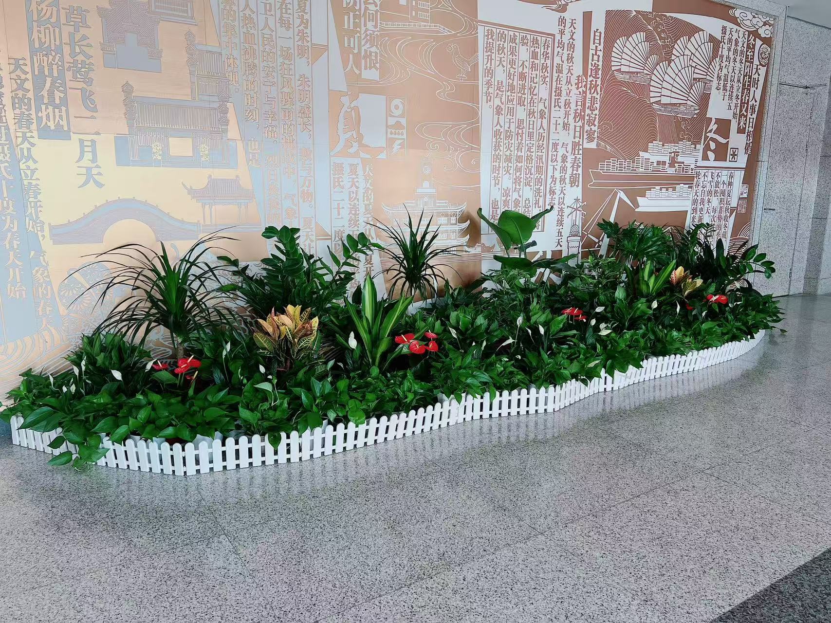 海曙花木出租哪家好